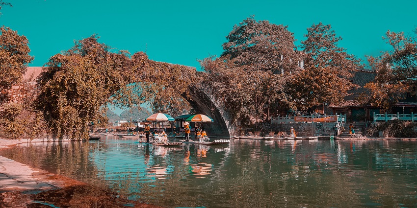 Migratory birds such as ducks, waterfowls, ibis spotted along the lake shore amidst aquatic plant