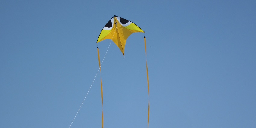 An image of the kite flying on the occasion of the Makar Sankranti festival.