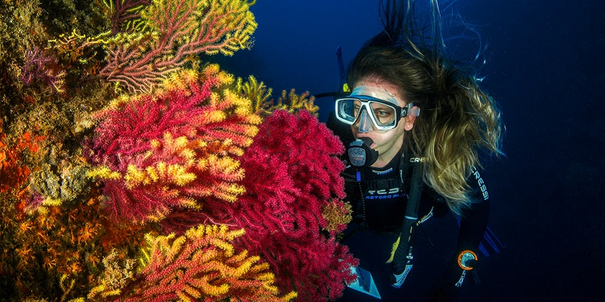 Dive into the crystal clear waters for a great experience of scuba diving in Konkan.