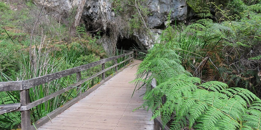 Explore the vast underground wonders found among the world’s famous caves, Mammoth Caves