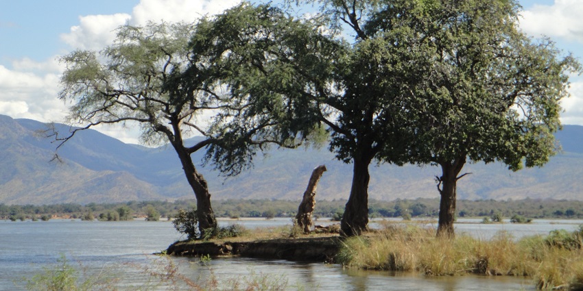 A beautiful island in the Lower Zambezi River at Mana Pools National Park, Zambia