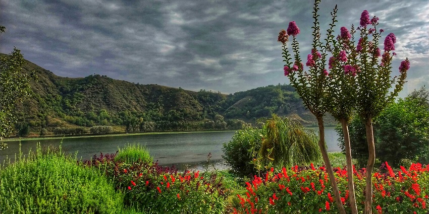 Manasbal lake with a large water body, unique flowers, green shorelines and mountains