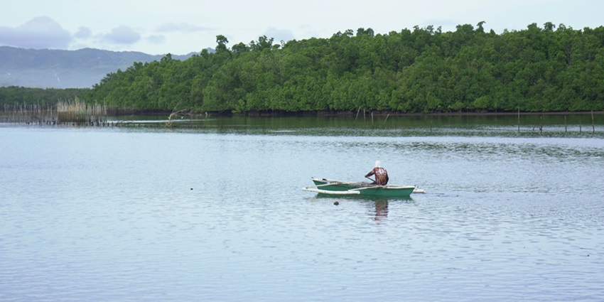 Experience the best mangrove kayaking in Abu Dhabi for every traveller on holiday.