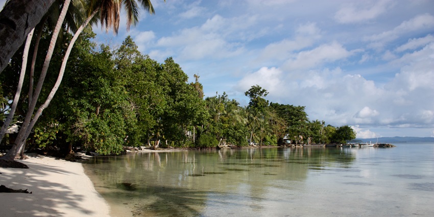 Marovo lagoon coast with tall green trees and boats parked near the shore at a distance