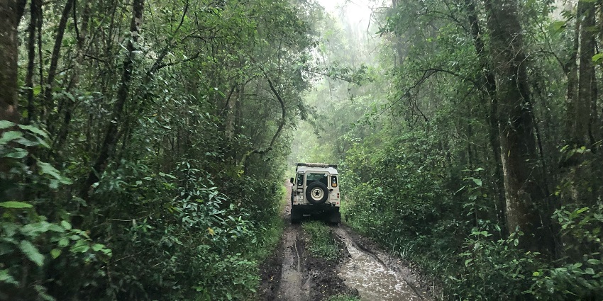Observe the flora and fauna in Masai Mara national reserve