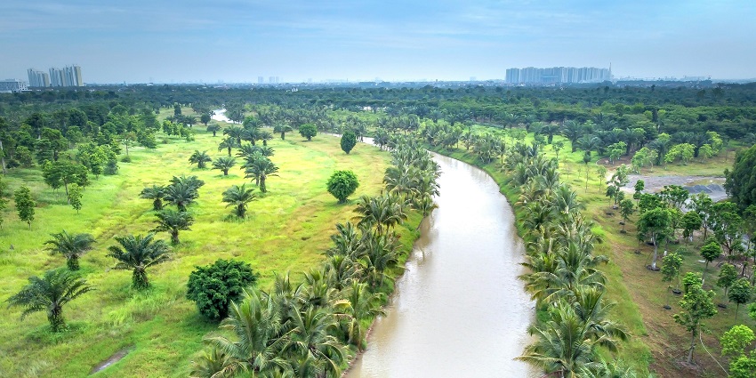 Aerial view of a sparkling water channel showcasing its graceful curves and serene flow.