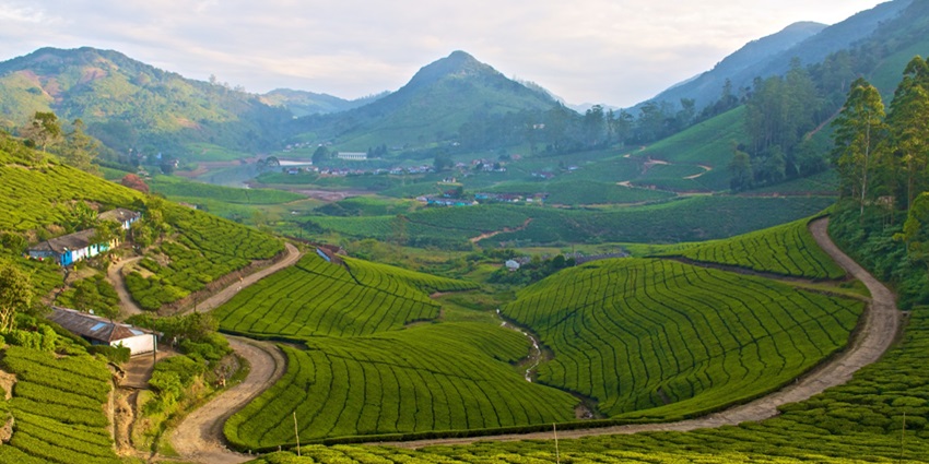 A view of Meghamalai, one of the serene hill stations in South India, during summer.