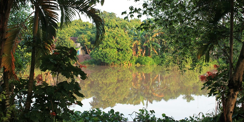 An image of the Mekong Delta, a popular tourist attraction with the view of the Mekong Delta.