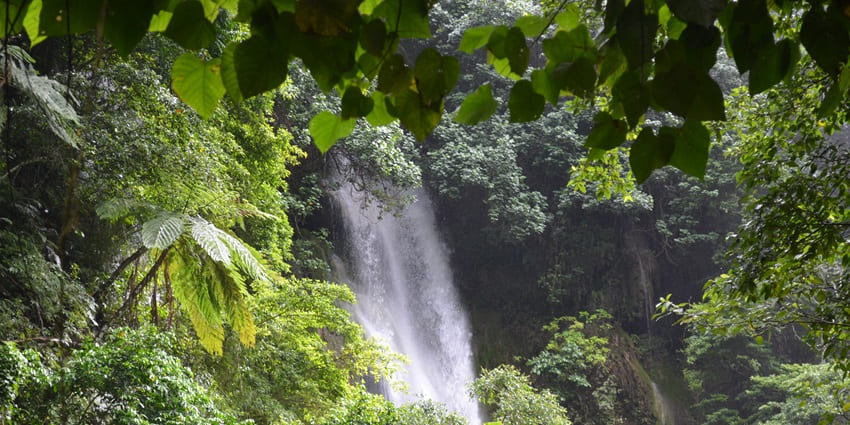 Explore the natural beauty of Cascade Falls, Vanuatu, showcasing a stunning waterfall.
