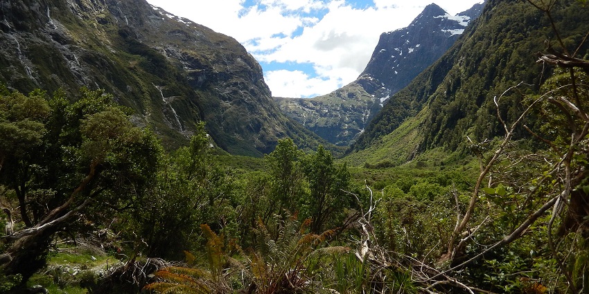 Milford Track’s breathtaking trails make forest trekking a dream in New Zealand’s wild.
