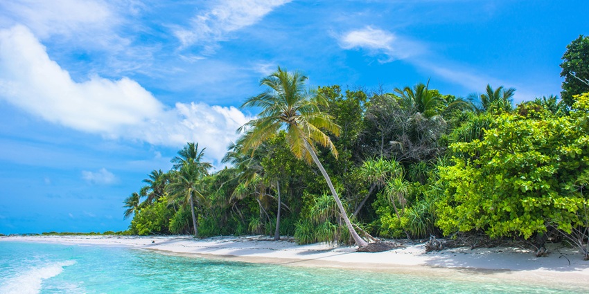 Majestic view of the Mili Atoll, turquoise waves crashing on sandy shores, lined with palm trees.