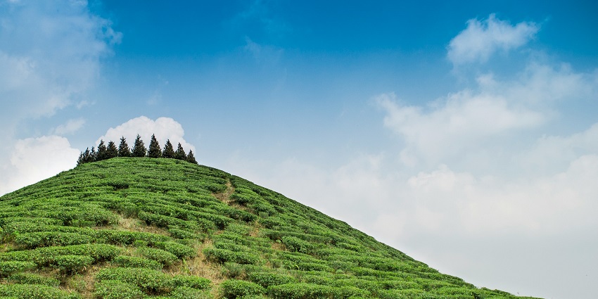 An image showing Mirik Lake, also known as Sumendu Lake, located in West Bengal, India.