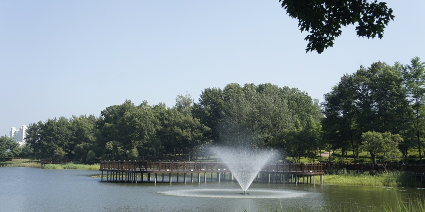 An image of Mohan Meakin Lake with reflections - one of the famous lakes in Lucknow.