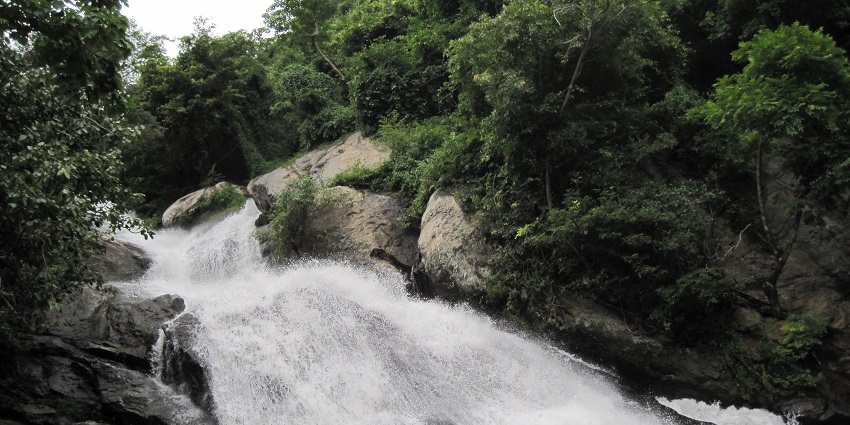 An image of Monkey Falls, one of the best places to visit near Birla Waterfalls.