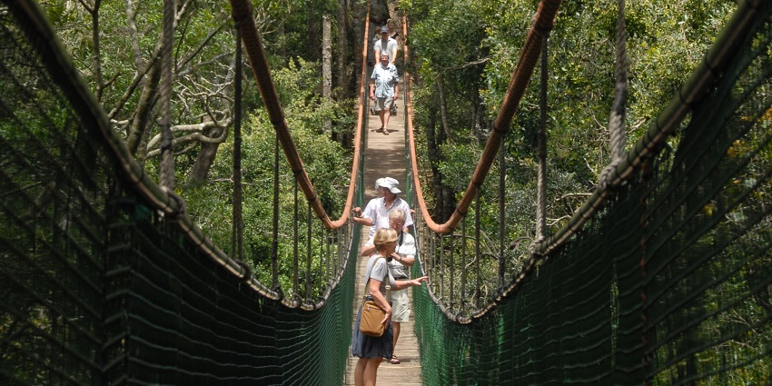 A primate sanctuary offering wildlife experience near Tsitsikamma Park