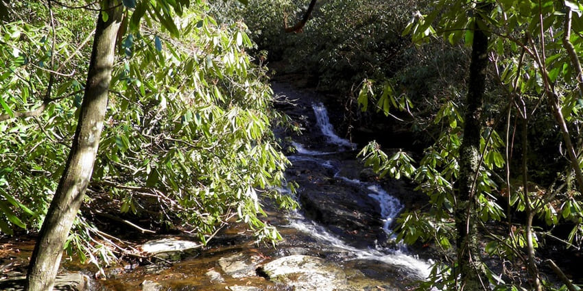 Admire the beauty of Mooney Falls, a breathtaking natural waterfall in a scenic setting.