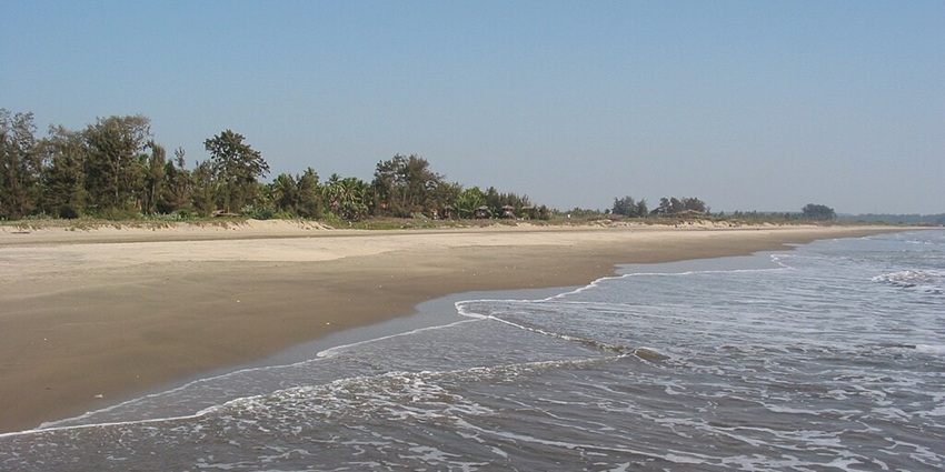 Calm waves gently rolling onto the sandy shore of Morjim Beach under a clear blue sky.