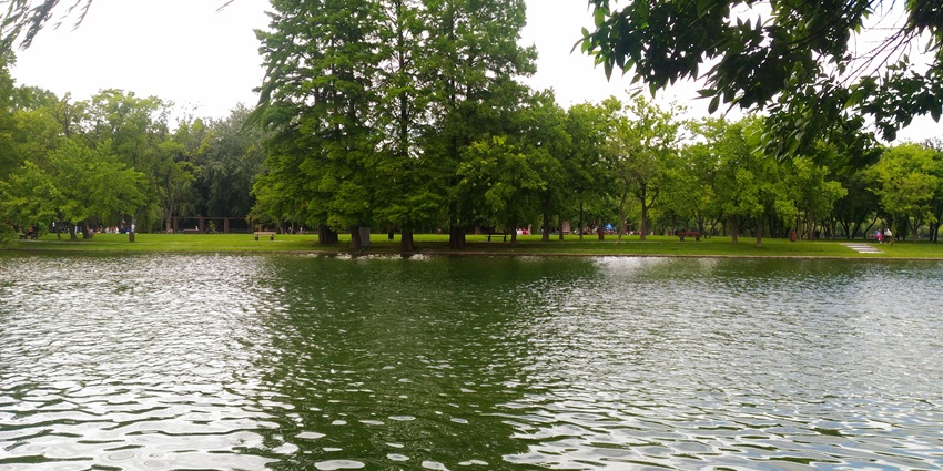 An image of Moti Dungri Jheel with calm waters and lush greenery, showcasing lakes.
