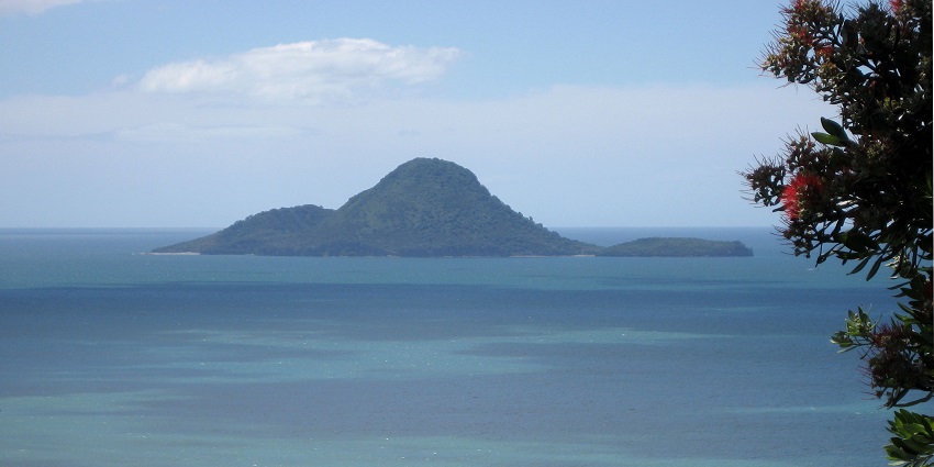 Aerial view of Moutohora Island, a lush green wildlife sanctuary surrounded by blue waters.