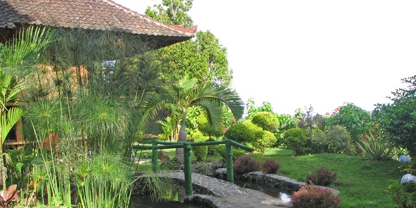Lush green landscape in Munduk, among the best places to visit in july south east asia