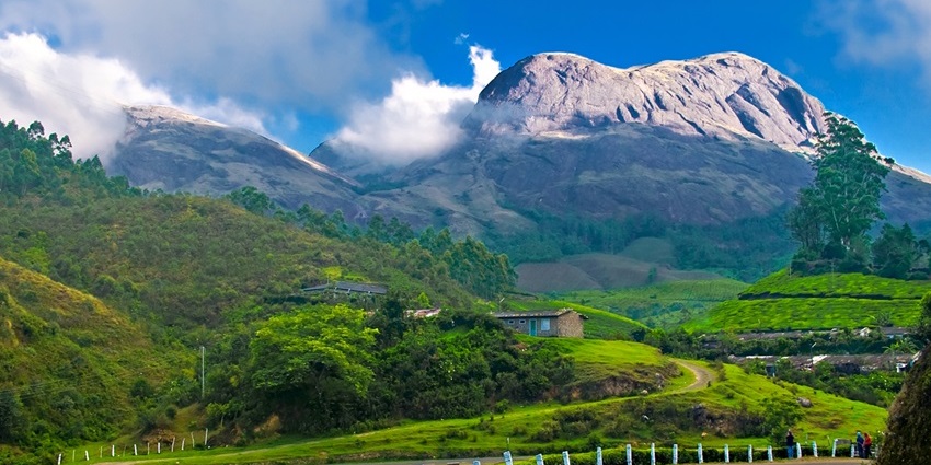 Best places to visit in October for couples – rolling tea gardens on mist-clad hills under overcast sky