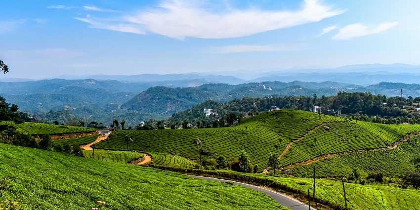 An image of a winding road through the green hills of Munnar, with a mountain and cloudy sky in the background.