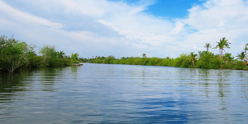 An enchanting view of the shimmering azure waters of the Munroe Island in Kerala.
