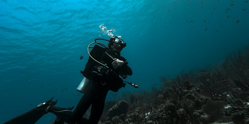 Experience corals up close through scuba diving in Konkan, an underwater marvel.