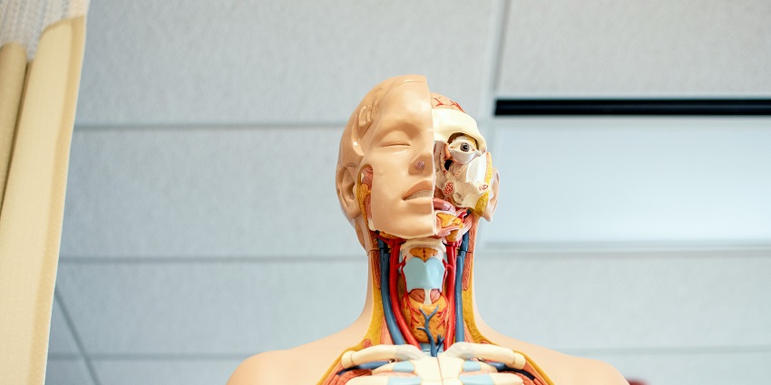The Museum of Human Disease in Australia is a tribute to “Know your enemy,” in Australia.
