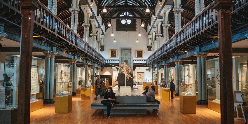 An image of a person seated on a bench, admiring the paintings.
