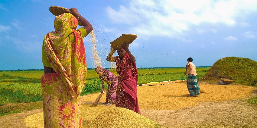 An image showing the Nabanna festival, a traditional festival in India celebrating harvest.
