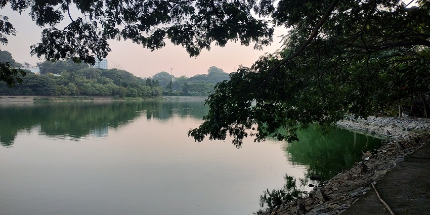 Lake in Whitefield with a small water body reflecting the greenery and rocky shores.
Viewers of this file can see comments and suggestions