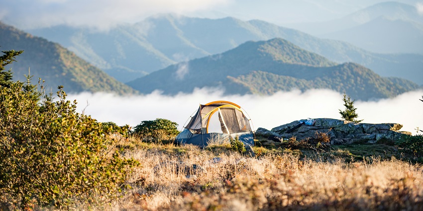Image of an eco-camp in Nameri National Park, a tourist destination and the best camp in India