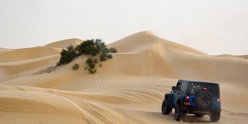 Namib desert safaris' mesmerising dunes form an impressive pattern over the golden sand.