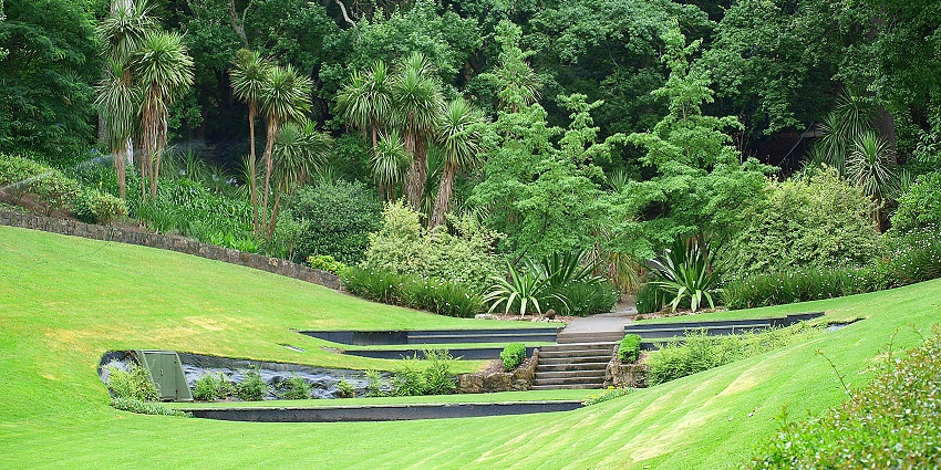 Napier Botanical Gardens, with towering palm trees, greenery, and a meandering pathway.