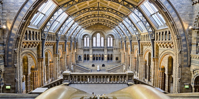 Beautiful interiors at Natural History Insect Museum in South Kensington, London.