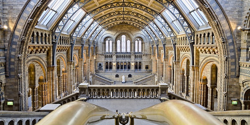 An image showing the Natural History Museum, known as one of the best natural science museums.