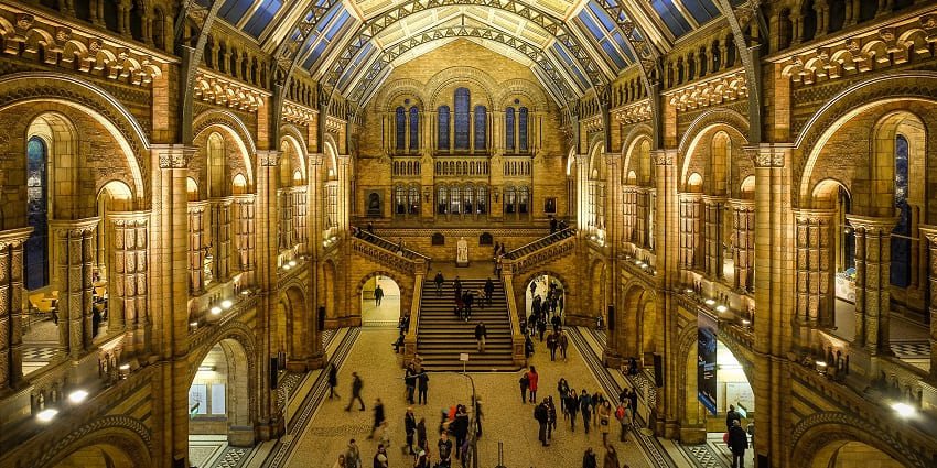 The stunning façade of the Natural History Museum in London, a must visit animal museum
