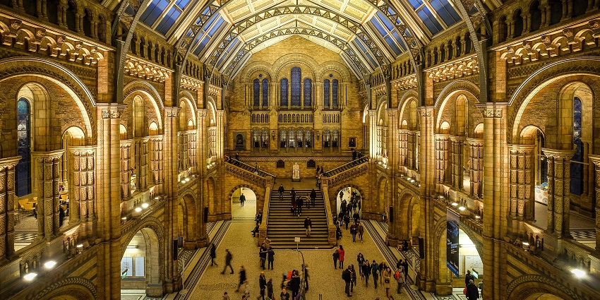 Explore the wonders of evolution at the world’s top natural history museum in London.
