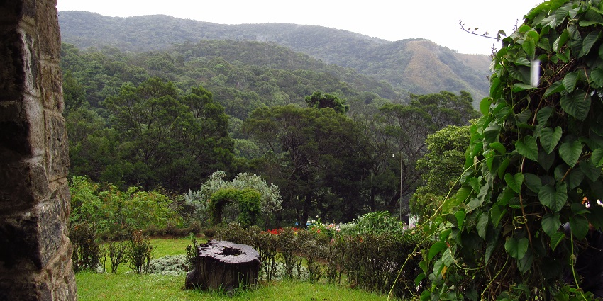 Greenery and scenic mountain views at Hakgala Botanical Garden during a peaceful walk.