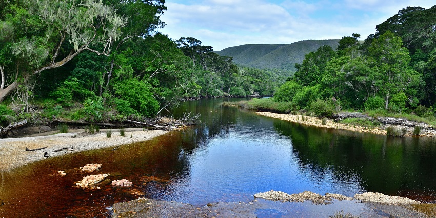 Image of a pristine lake at Nature’s Valley, close to Tsitsikamma Park