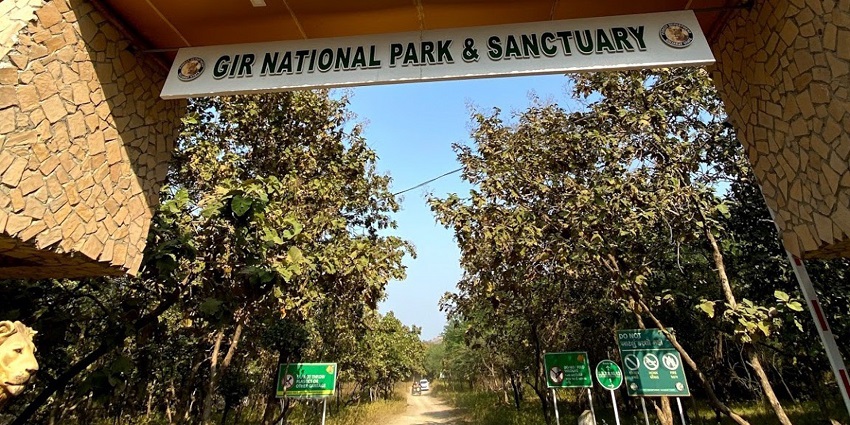 An image showing a view of the Gir National Park, one of the best tourist spots in India.