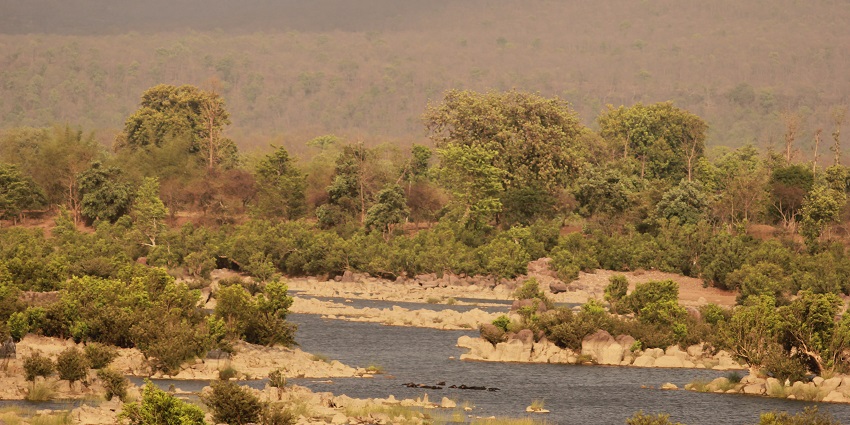 An image of Panna river of the Panna National Park, a famous tourist place in India.