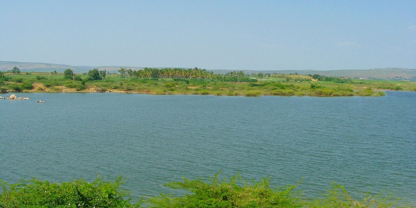 A calm lake displaying a serene lake with abundant greenery and a natural environment