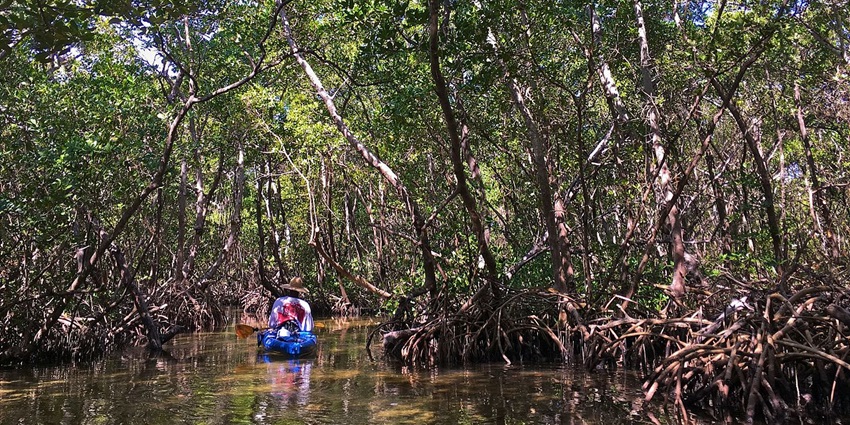 A thrilling kayaking experience with Noukhada Adventure Company amidst scenic natural park