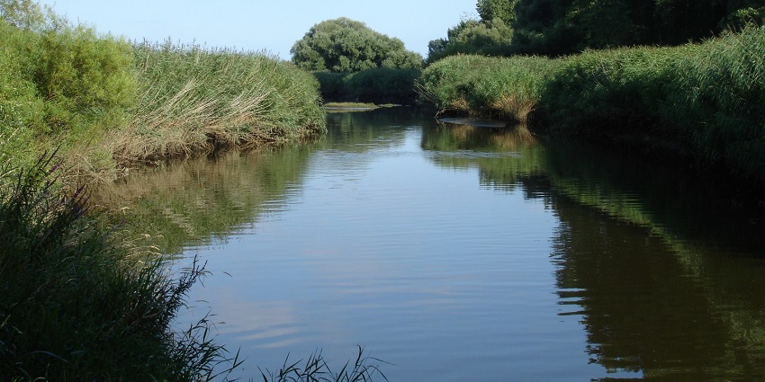 Numto Nature Reserve is a haven of wildlife and nature near the legendary Amnya Fort!