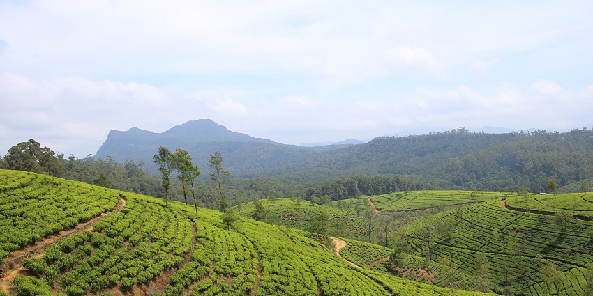 Nuwara Eliya is one of the most unique places to visit near Ramboda Falls.