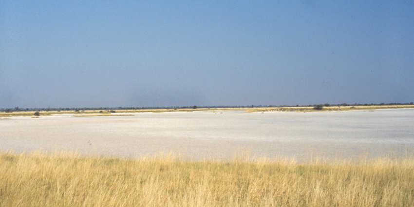 Nxai pan in Botswana with a large salt pan surrounded by brown dried grass and bushes