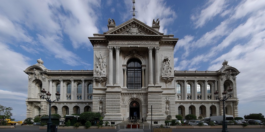 Visit one of the stunning Aquarium museums across the globe with native marine species