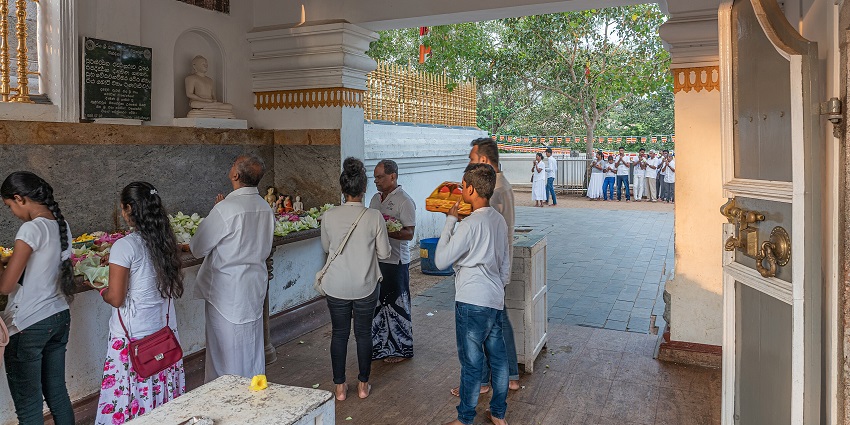 Pilgrims praying at Jaya Sri Maha Bodhi - Offer Prayers At The Sacred Tree